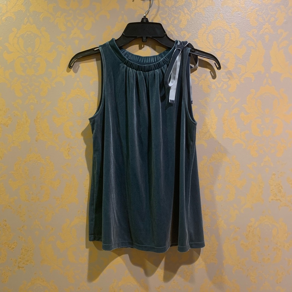 Ann Taylor sleeveless velvet blue top